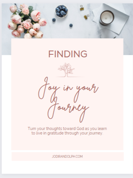 Joy in the Journey Gratitude Journal